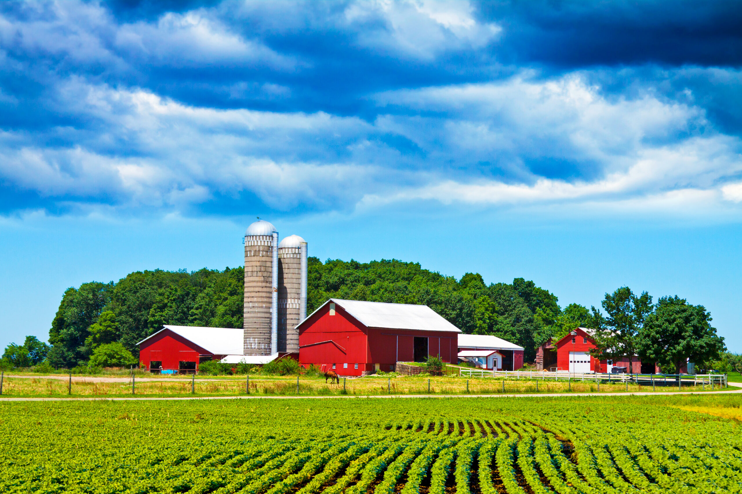  | Steel and Plastic Drums for Agriculture